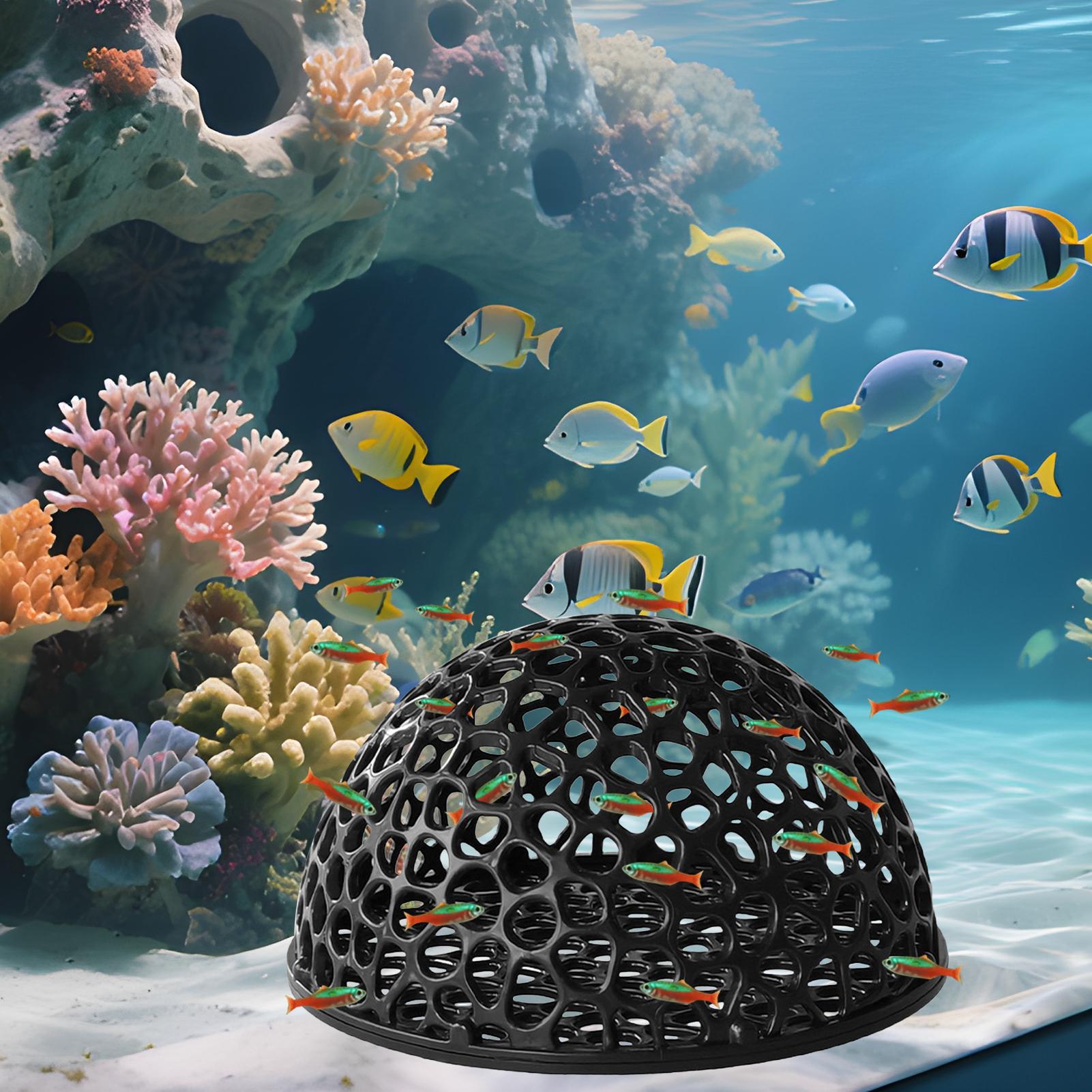 Küçük Balıklar ve Karidesler İ - Aquarium Plant Roots incelemesi ve fiyatı