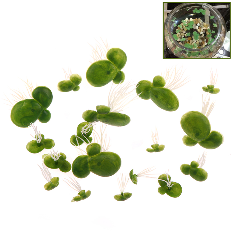 18 adet/set akvaryum balık tan - Aquarium Plant Roots incelemesi ve fiyatı