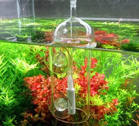 VIV Yapma Cihazı Akvaryum Sili - Aquarium Plant Order incelemesi ve fiyatı