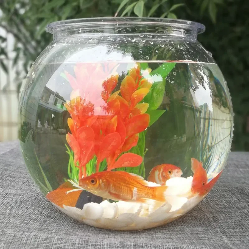 Altın balık akvaryumu masaüstü - Planted Aquarium Bowl incelemesi ve fiyatı
