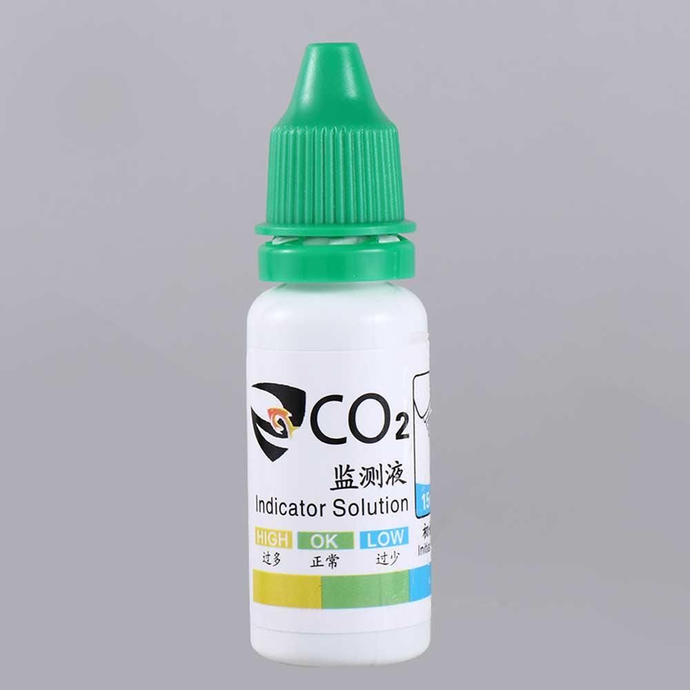 Kit Grass Balık Tankı Su Bitki - Aquarium Plant Order incelemesi ve fiyatı