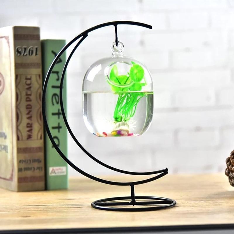 62kd Askılı Şeffaf Asma Balık  - Planted Aquarium Bowl incelemesi ve fiyatı