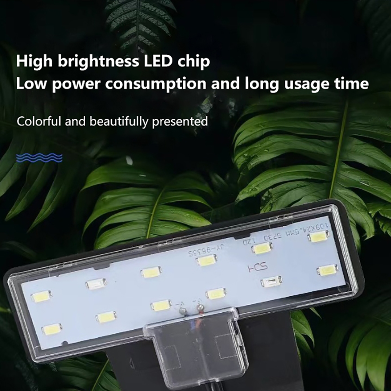 【Yeni】Balık Tankı Su Bitkileri - Aquarium Plant Growing incelemesi ve fiyatı