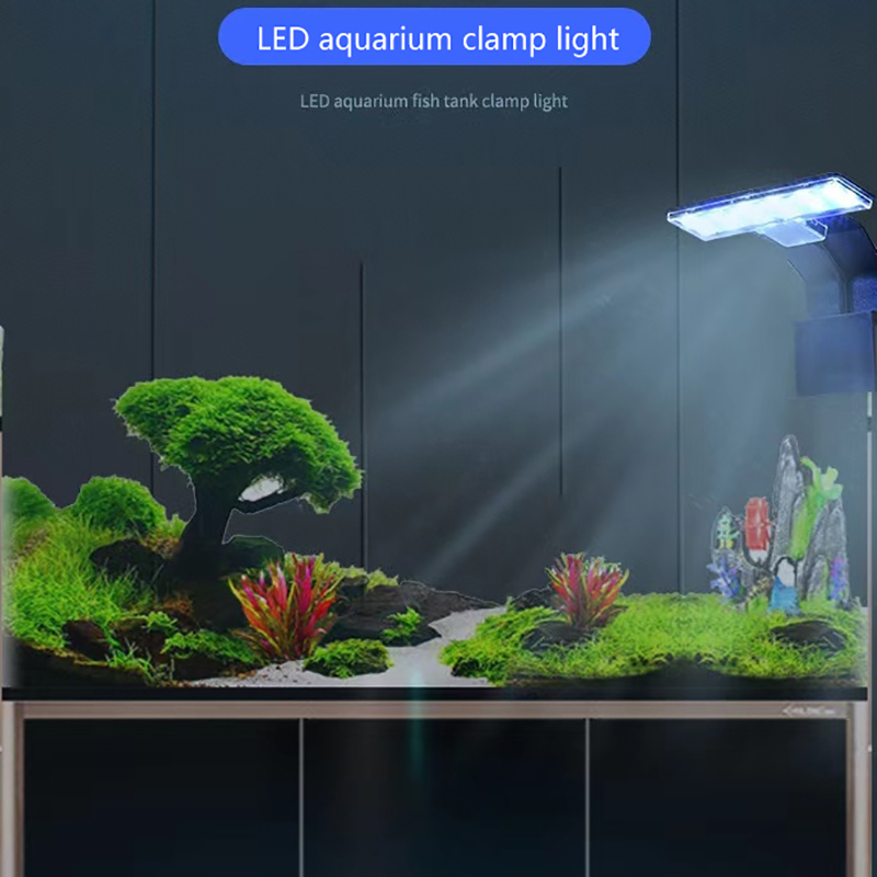 【Yeni】Balık Tankı Su Bitkileri - Aquarium Plant Growing incelemesi ve fiyatı