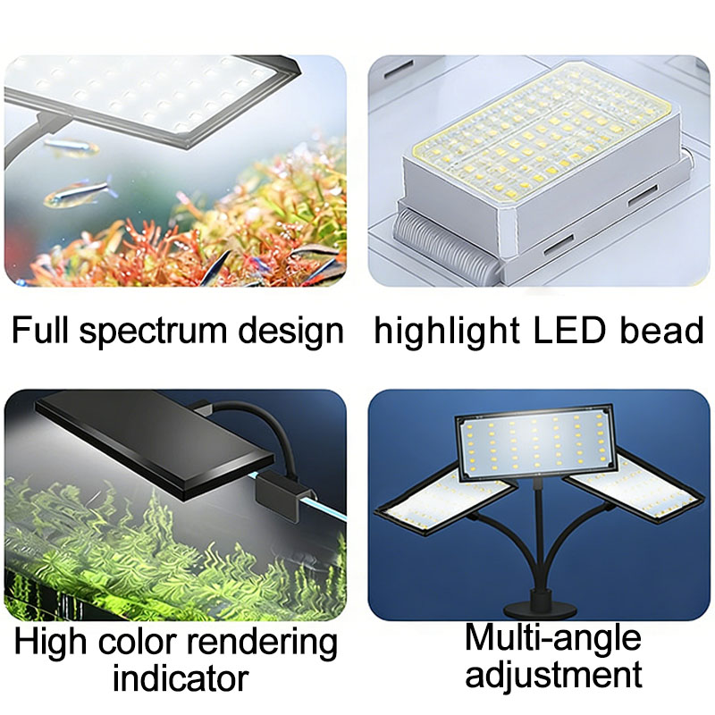 Akvaryum Balık Tankı Tam Spekt - Aquarium Plant Order incelemesi ve fiyatı