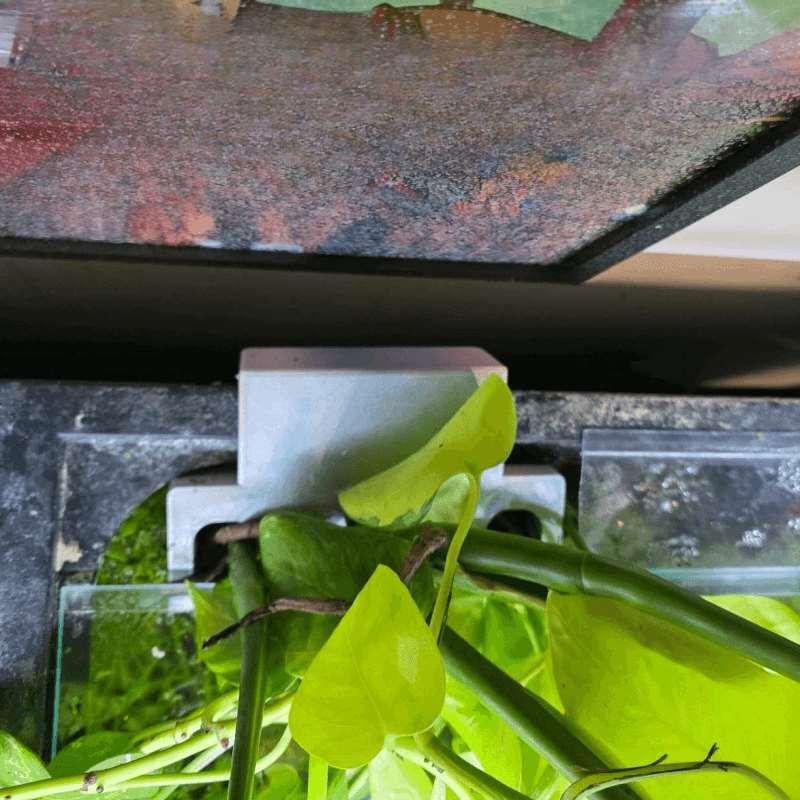 Balık Tankı Yan Bitki Montaj B - Aquarium Plant Growing incelemesi ve fiyatı
