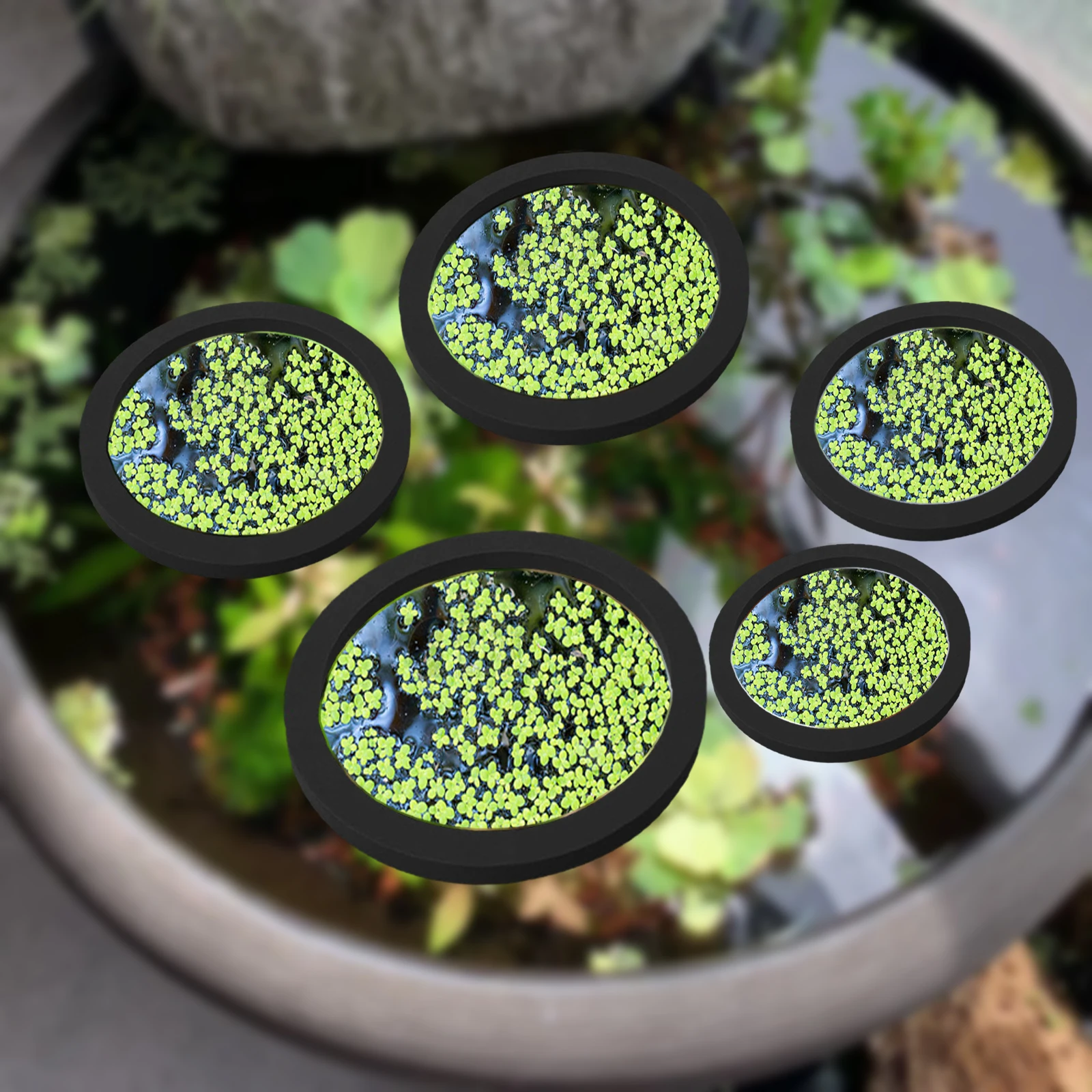 5 adet EVA balık besleme halka - Aquarium Plant Order incelemesi ve fiyatı