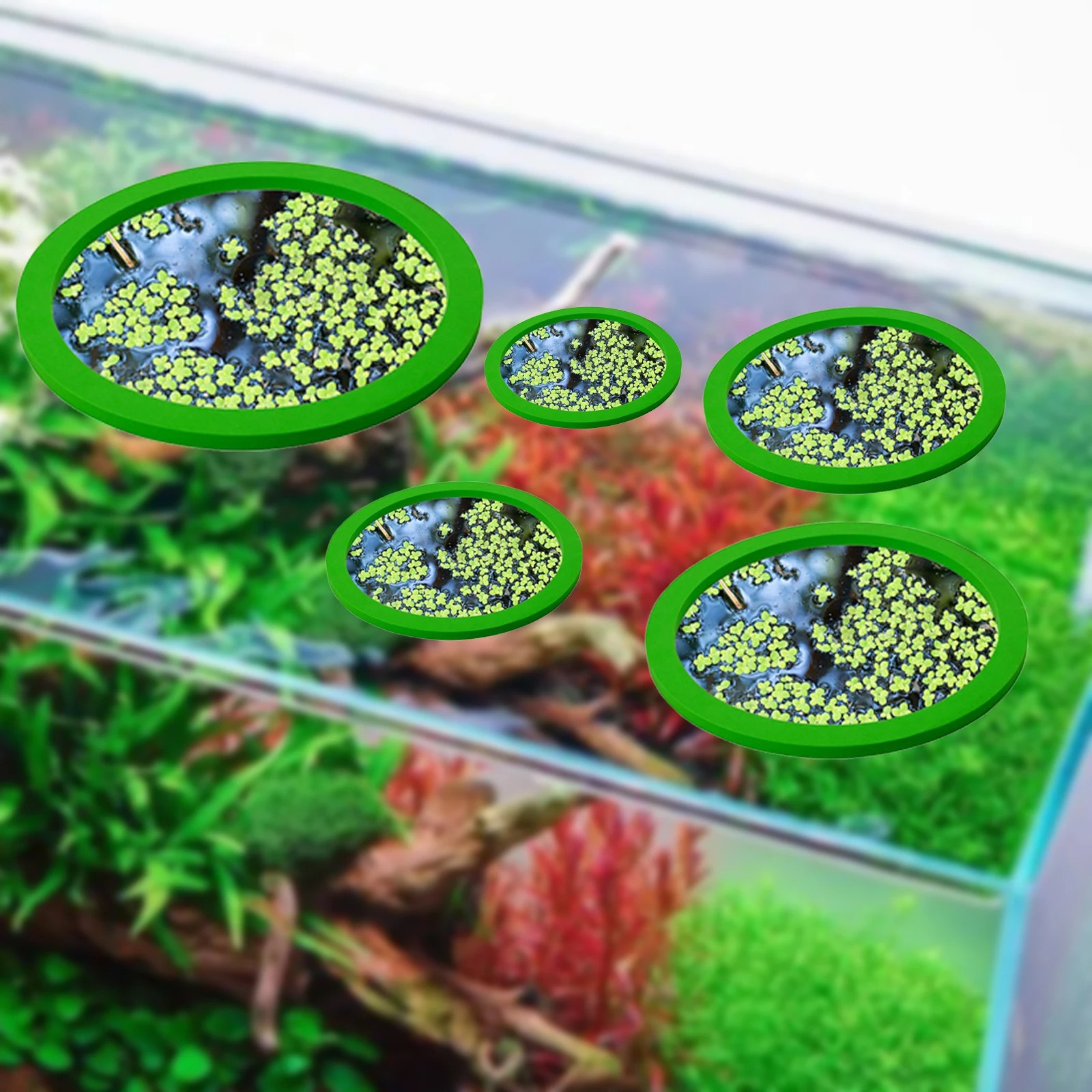 5 adet EVA balık besleme halka - Aquarium Plant Order incelemesi ve fiyatı