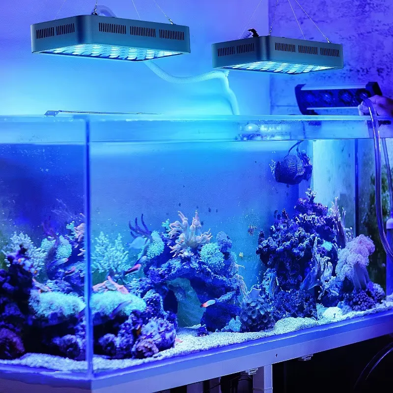 Wifi APP Kontrollü Coral Reef  - Planted Aquarium Models incelemesi ve fiyatı