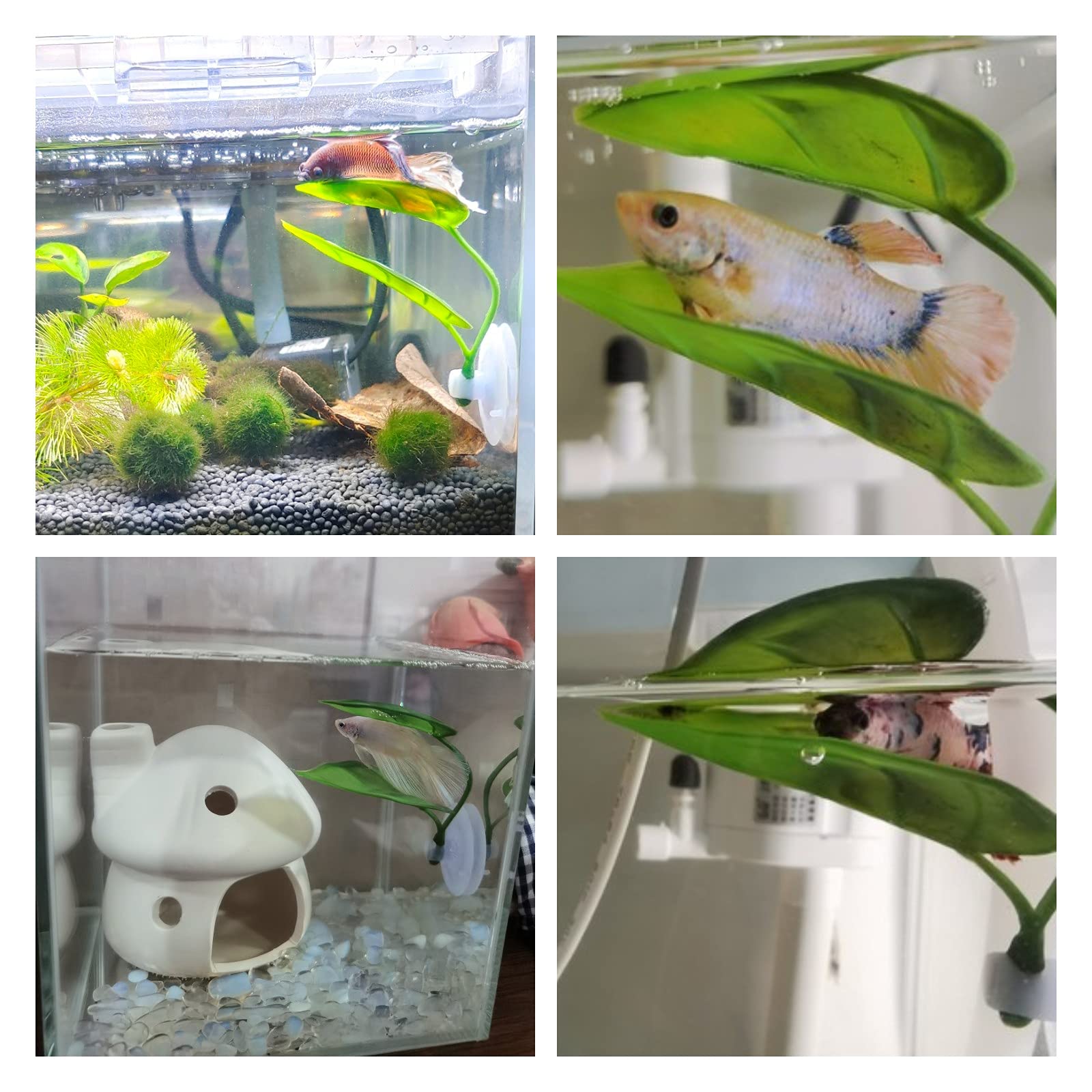 Evcil Hayvanlar İçin Akvaryum  - Aquarium Plant Roots incelemesi ve fiyatı