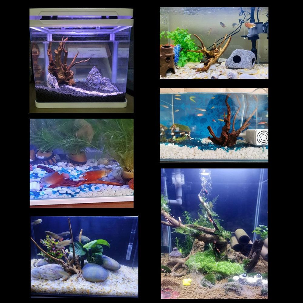 20-25CM Büyük Akvaryum Driftwo - Planted Aquarium Bowl incelemesi ve fiyatı