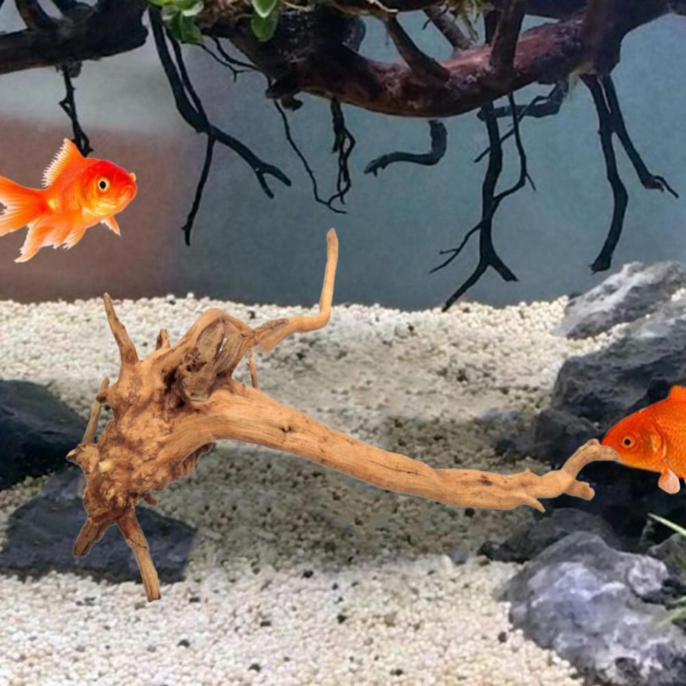 20-25CM Büyük Akvaryum Driftwo - Planted Aquarium Bowl incelemesi ve fiyatı