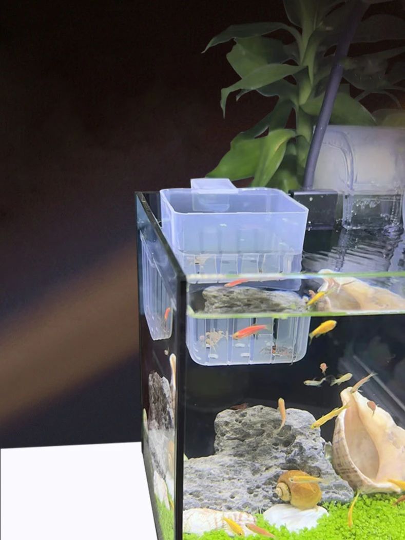 Akvaryum Şeffaf Hidroponik Sep - Aquarium Planted Wall incelemesi ve fiyatı