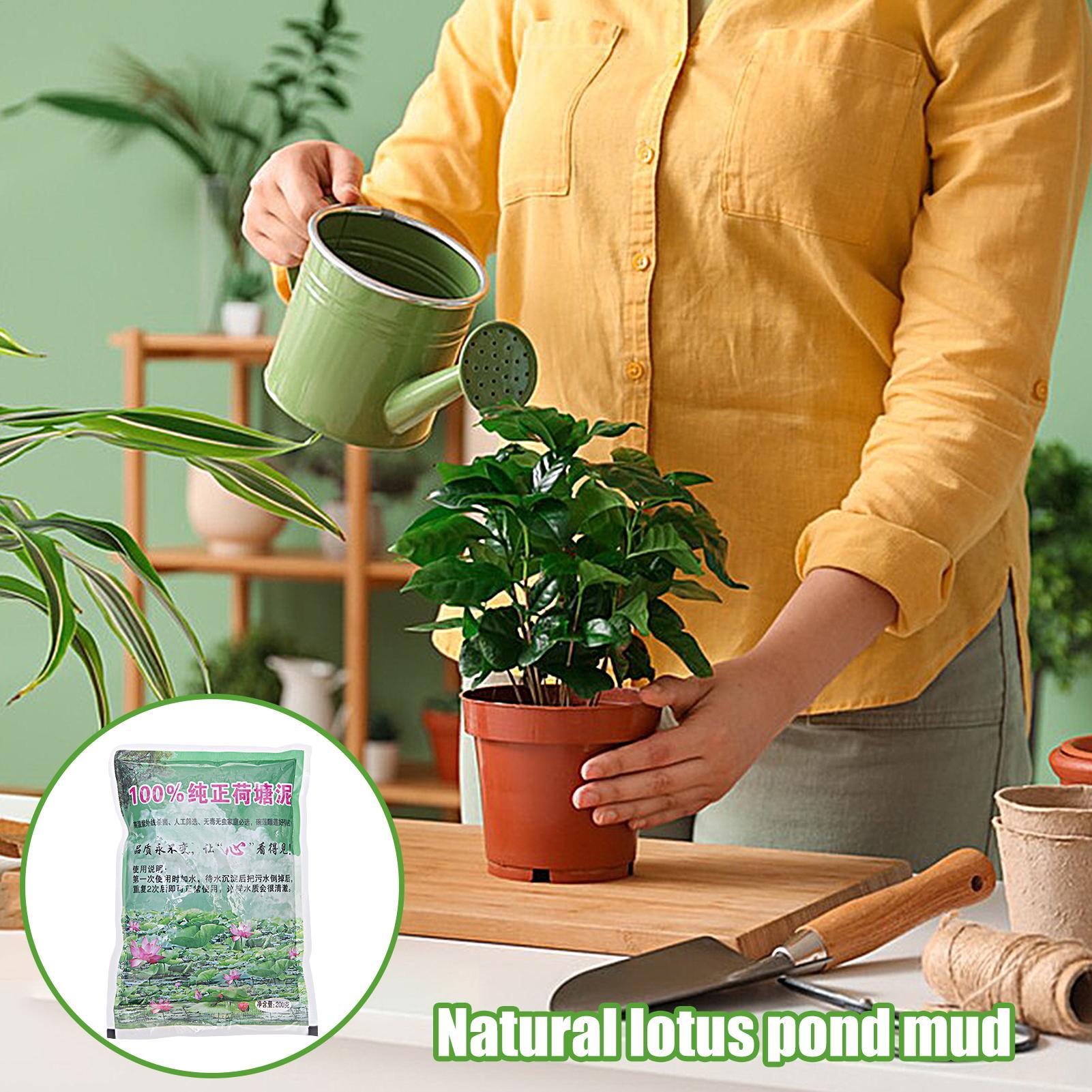200 g/torba Akvaryum Toprağı D - Aquarium Planted Seeds incelemesi ve fiyatı