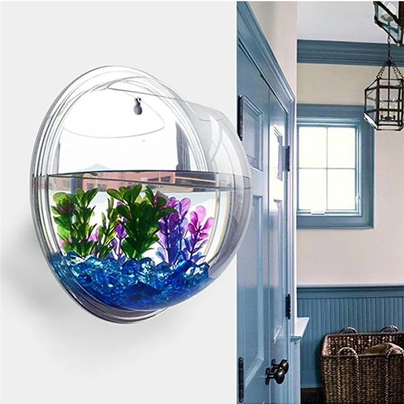 Şeffaf akrilik asılı duvar akv - Planted Aquarium Bowl incelemesi ve fiyatı