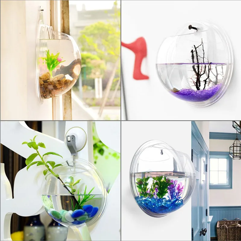 Şeffaf akrilik asılı duvar akv - Planted Aquarium Bowl incelemesi ve fiyatı