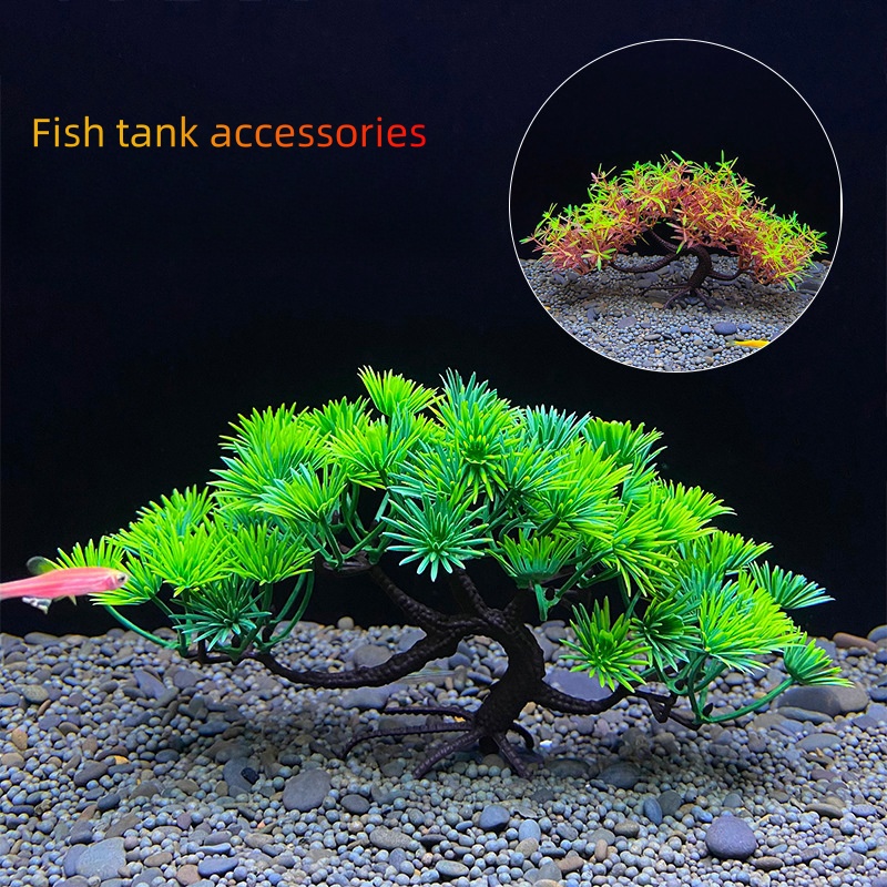 Akvaryum Bonsai Ağacı, Bitki,  - Aquarium Planted Seeds incelemesi ve fiyatı