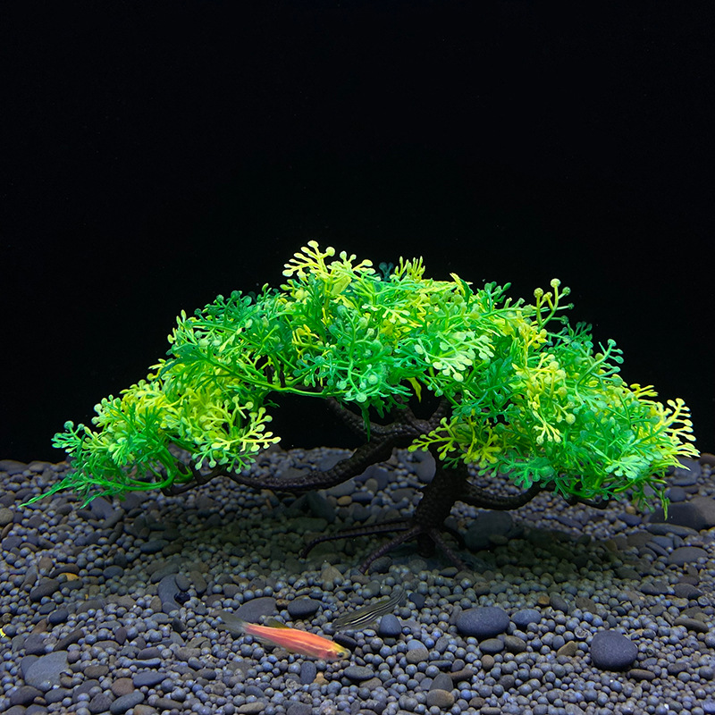 Akvaryum Bonsai Ağacı, Bitki,  - Aquarium Planted Seeds incelemesi ve fiyatı