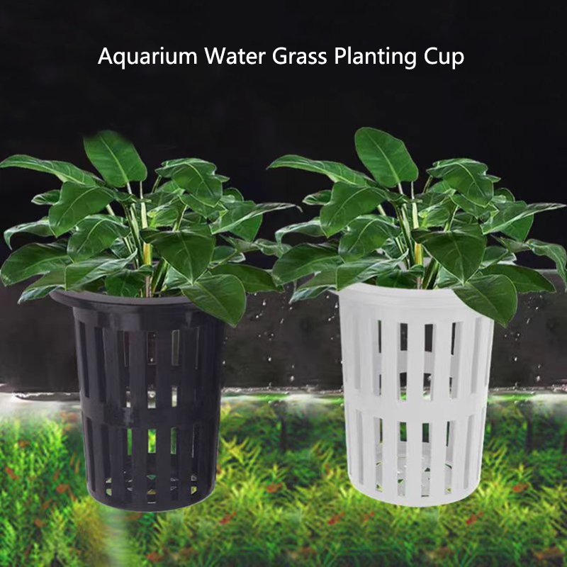 1/3 adet akvaryum bitki sepeti - Aquarium Planted Wall incelemesi ve fiyatı
