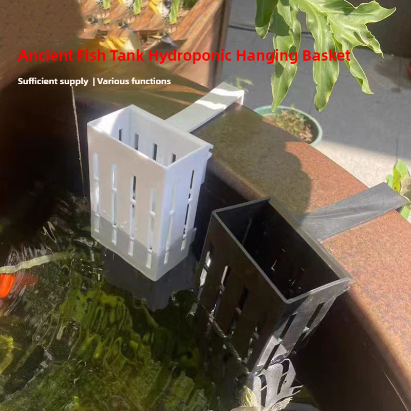 1/3 adet akvaryum bitki sepeti - Aquarium Planted Wall incelemesi ve fiyatı