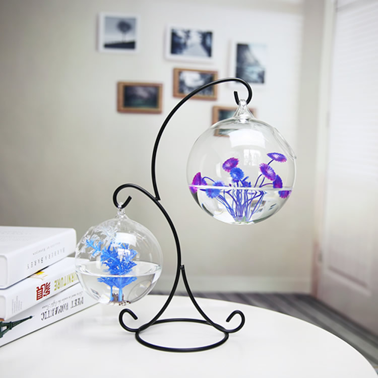 Yaratıcı çift katlı şeffaf ası - Planted Aquarium Bowl incelemesi ve fiyatı
