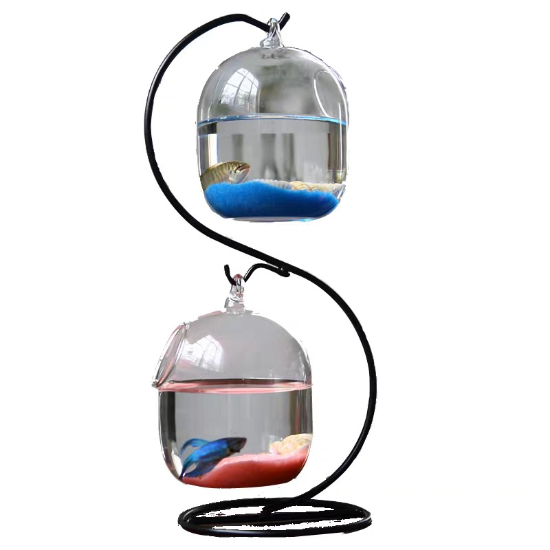 Yaratıcı çift katlı şeffaf ası - Planted Aquarium Bowl incelemesi ve fiyatı