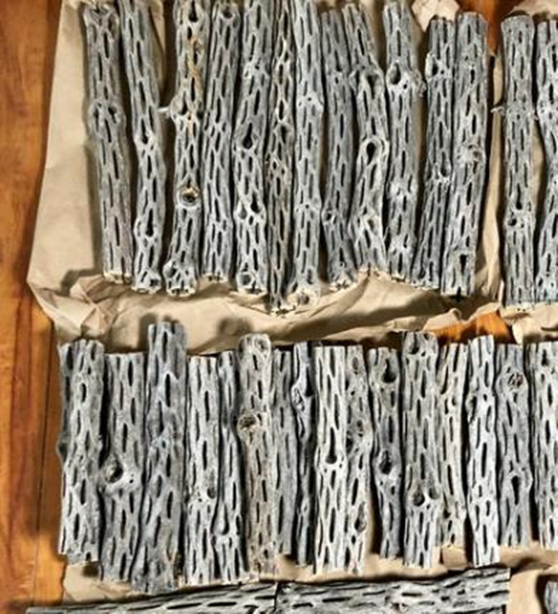Organik/Doğal Akvaryum Cholla  - Aquarium Planted Seeds incelemesi ve fiyatı