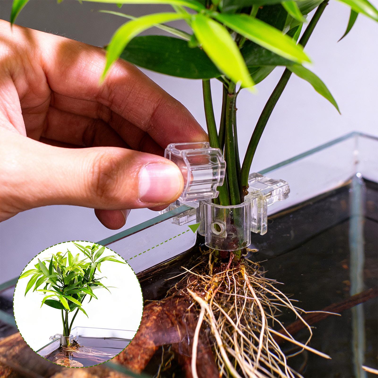 Mini Balık Tankı Saksı 6 Adet  - Aquarium Plant Growing incelemesi ve fiyatı