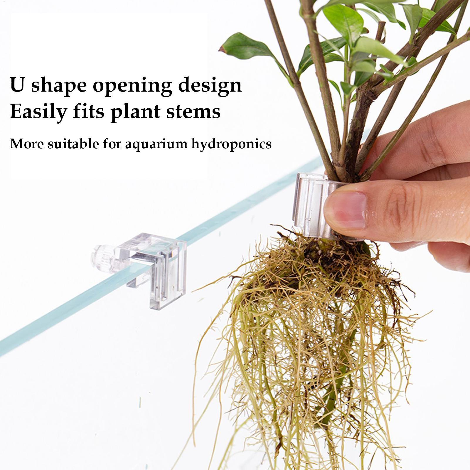 Mini Balık Tankı Saksı 6 Adet  - Aquarium Plant Growing incelemesi ve fiyatı