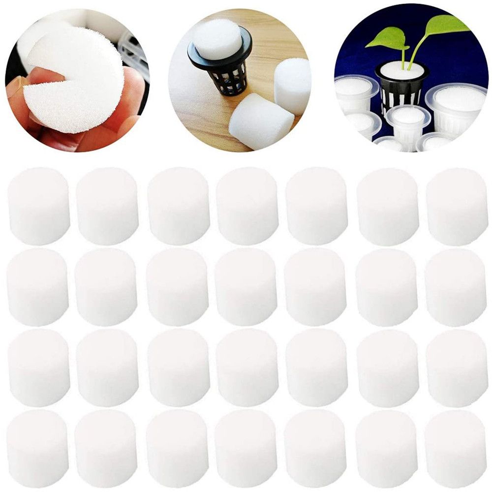 10/50 adet dayanıklı bahçe mal - Aquarium Planted Seeds incelemesi ve fiyatı