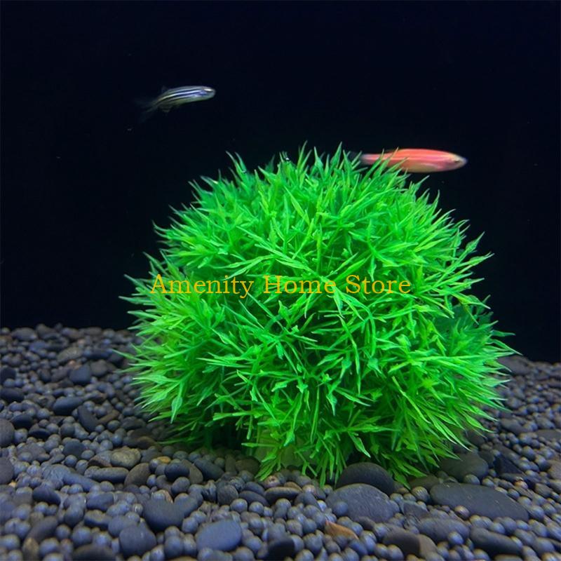F26C Teraryumları için Yeşil Y - Aquarium Plant Roots incelemesi ve fiyatı