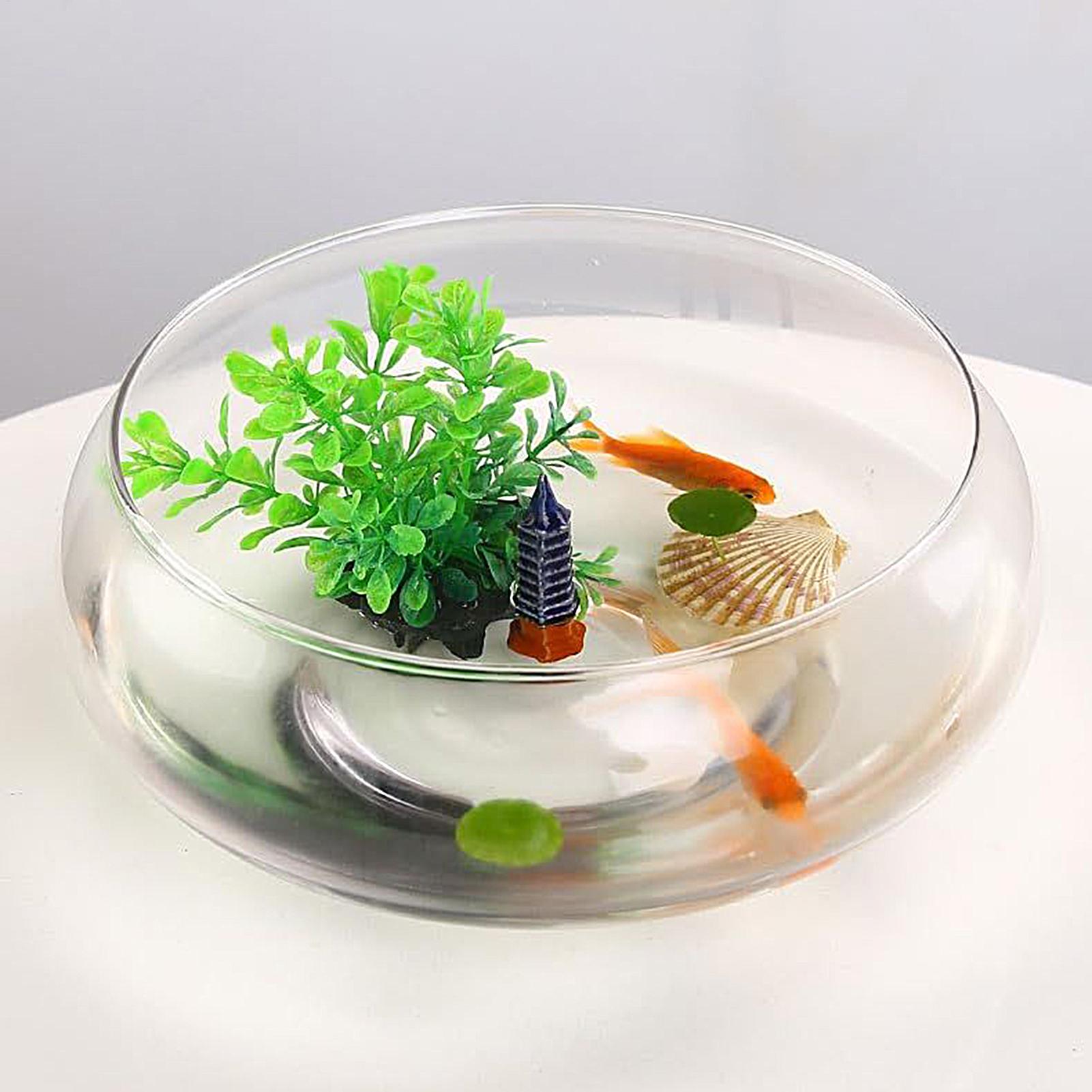 Balık Cam Kase Büyük Hidroponi - Planted Aquarium Bowl incelemesi ve fiyatı