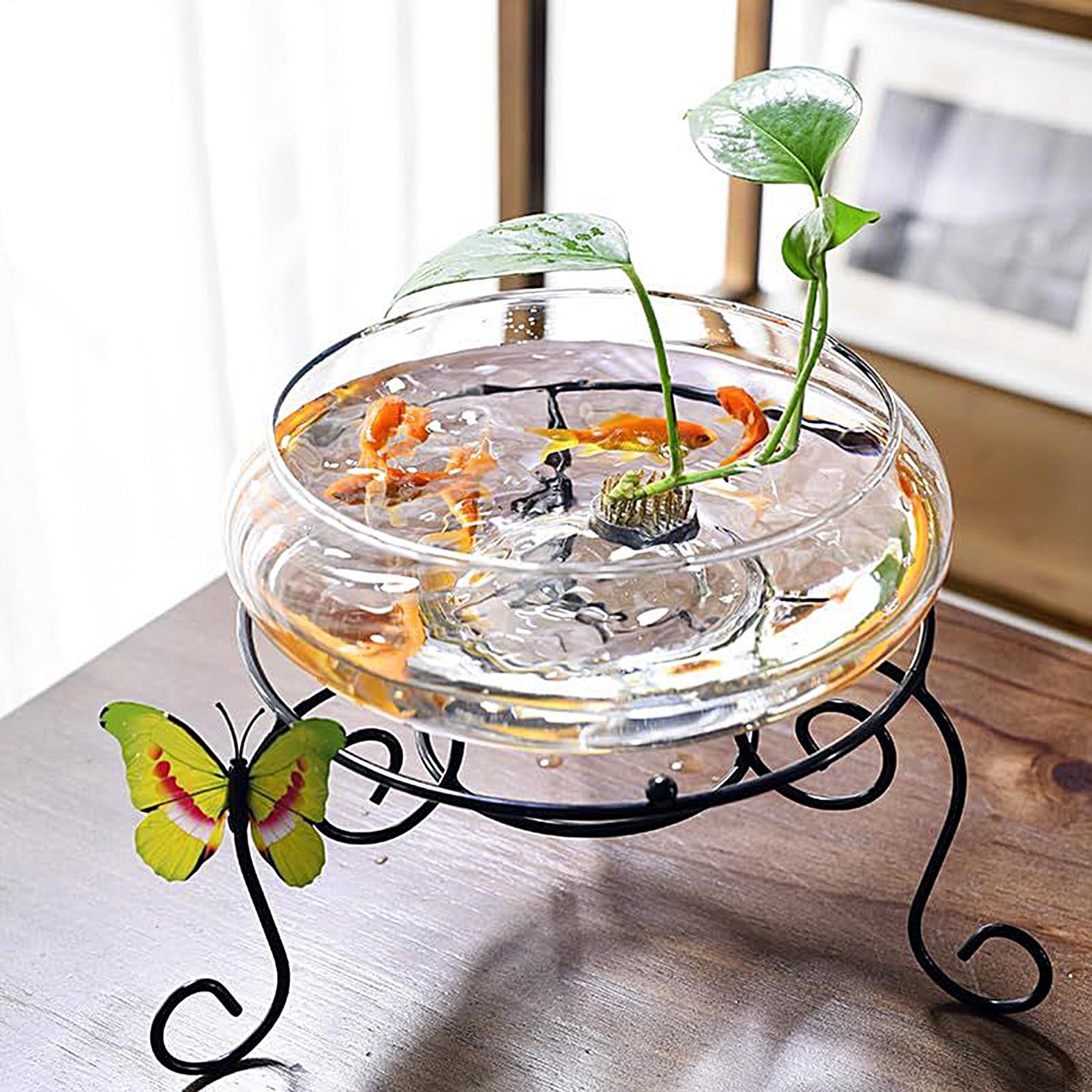 Balık Cam Kase Büyük Hidroponi - Planted Aquarium Bowl incelemesi ve fiyatı