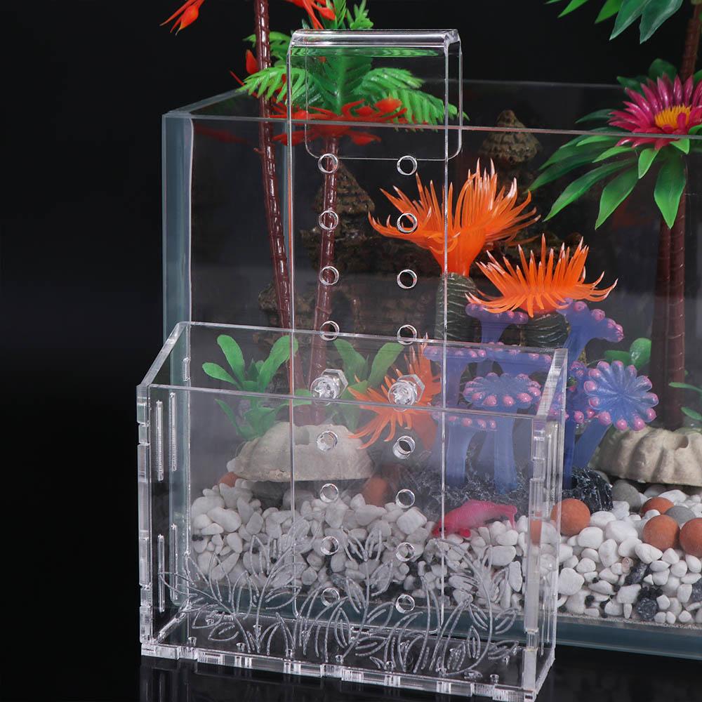 Duvara Asılan Akvaryum Bitki K - Aquarium Planted Wall incelemesi ve fiyatı