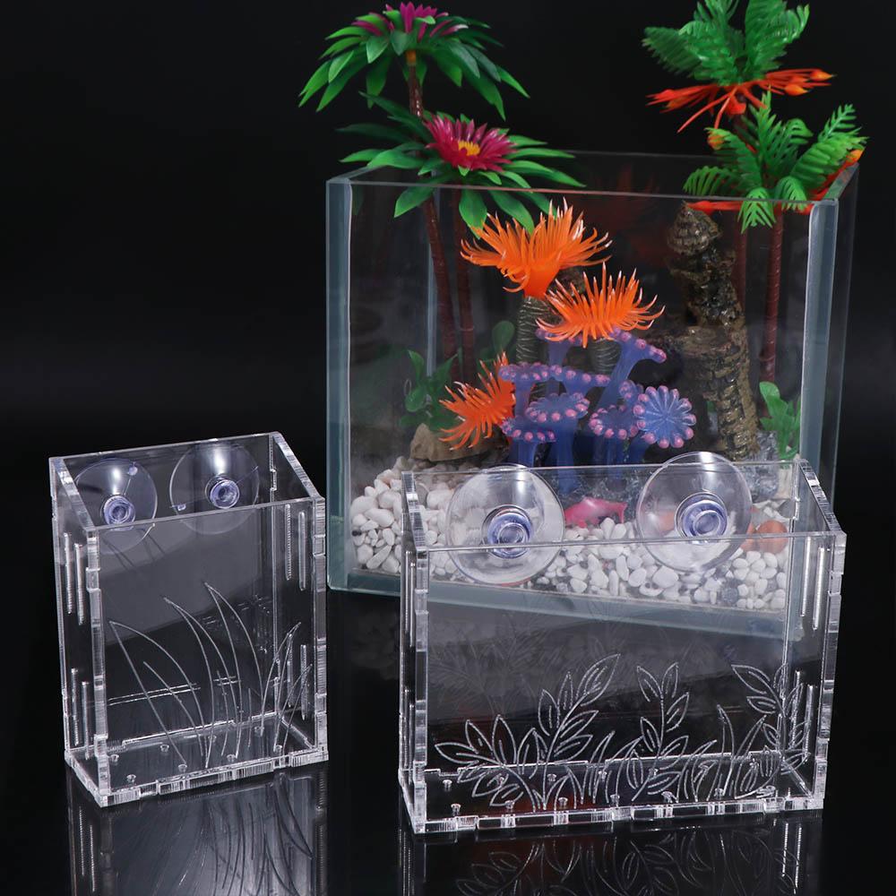 Duvara Asılan Akvaryum Bitki K - Aquarium Planted Wall incelemesi ve fiyatı