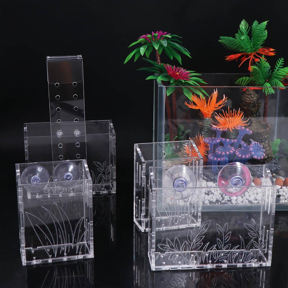 Duvara Asılan Akvaryum Bitki K - Aquarium Planted Wall incelemesi ve fiyatı