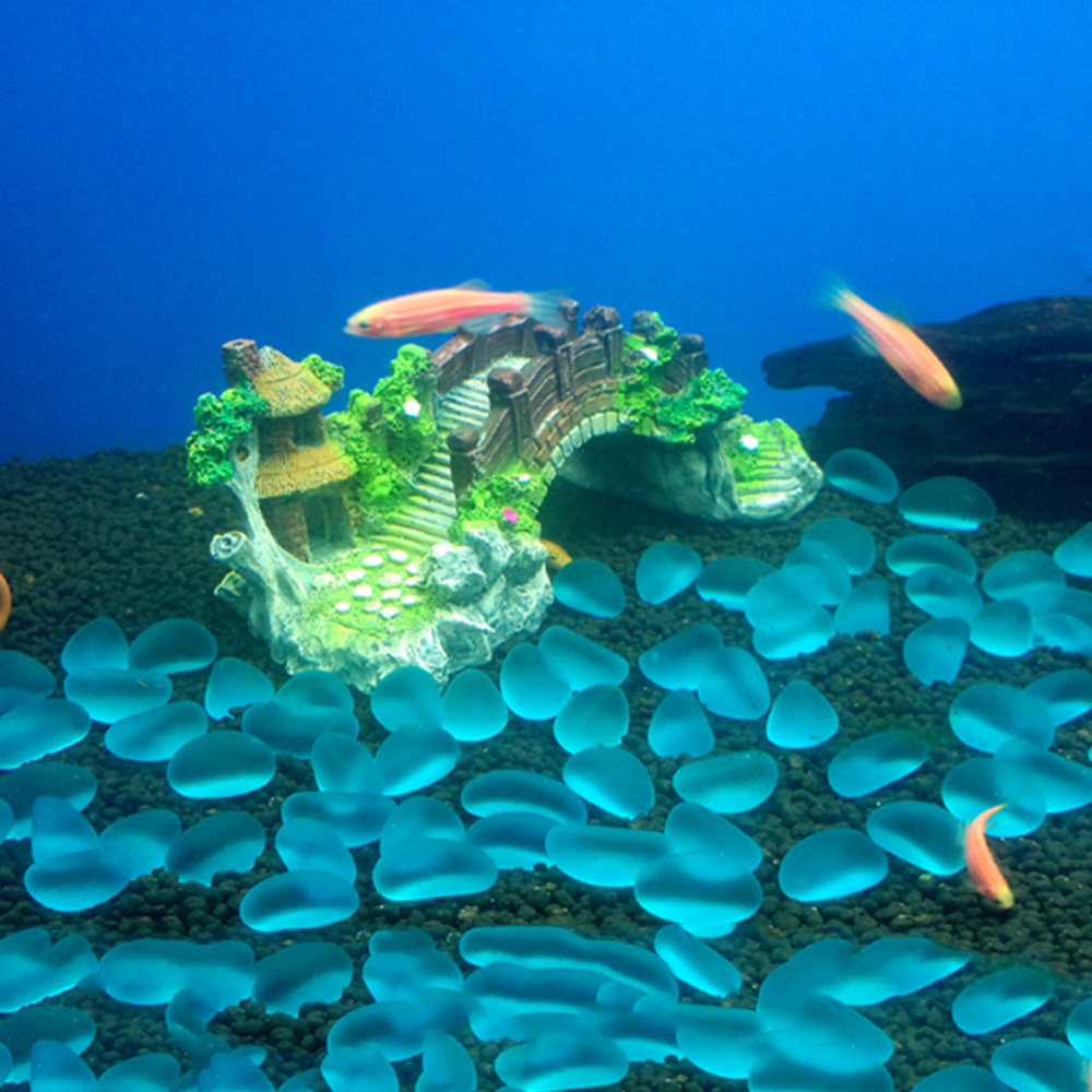 Akvaryum Aksesuarları Çardak A - Aquarium Plant Roots incelemesi ve fiyatı