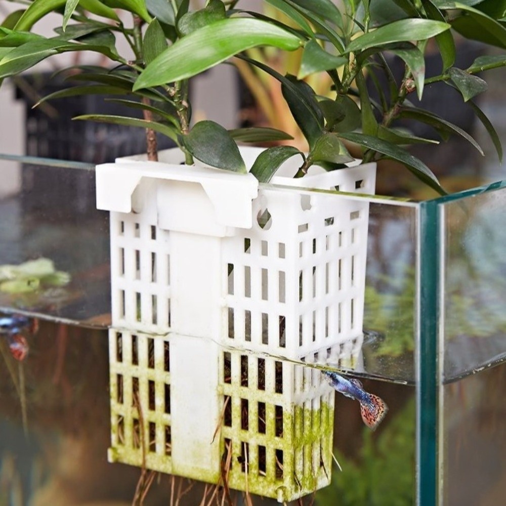 Duvara Asılan Su Bitkisi Tutuc - Aquarium Planted Wall incelemesi ve fiyatı