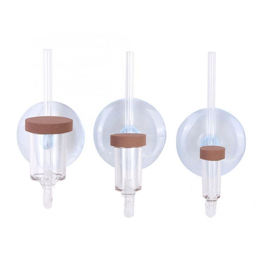 Akrilik Mini Balık Tankı Canlı - Aquarium Plant Order incelemesi ve fiyatı