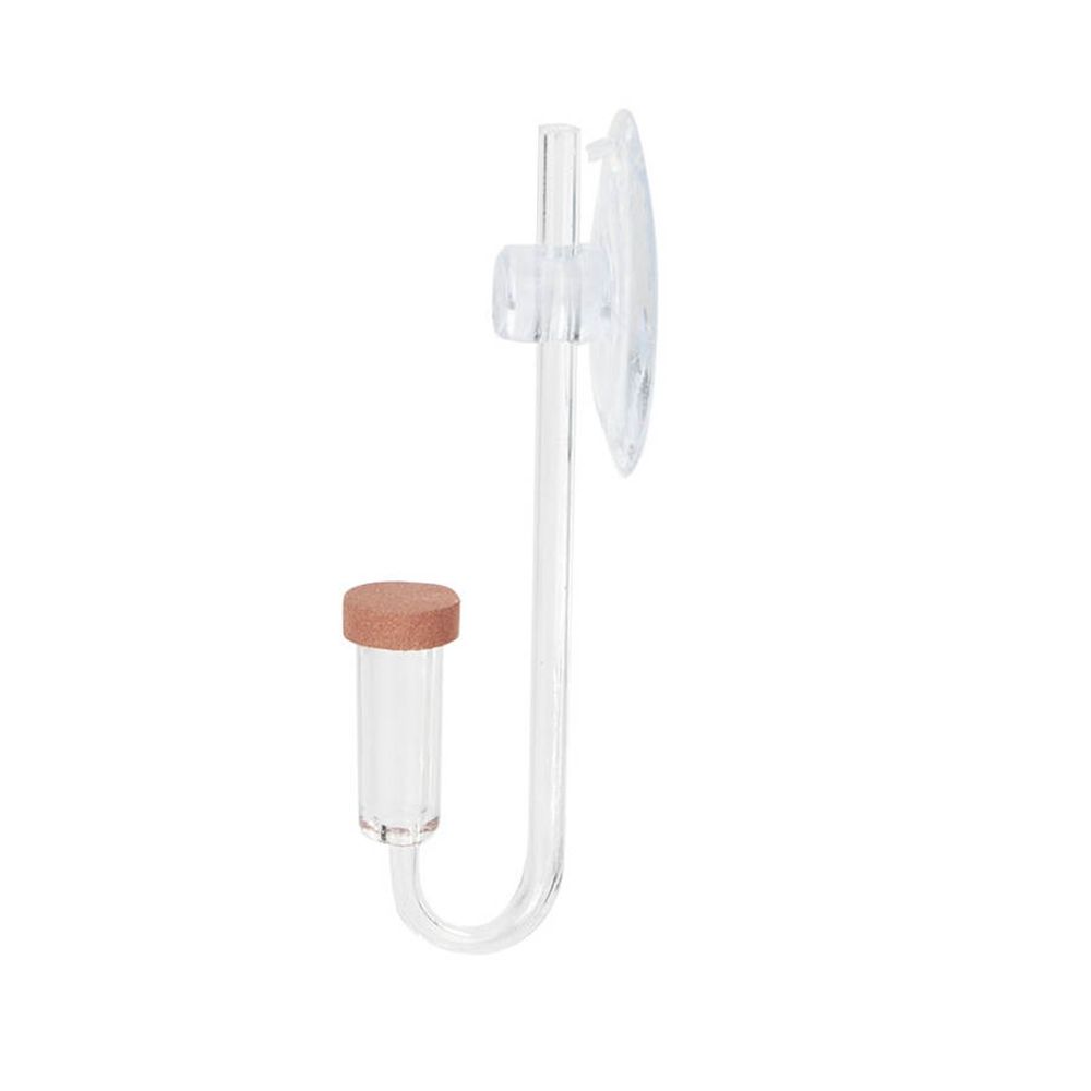 Akrilik Mini Balık Tankı Canlı - Aquarium Plant Order incelemesi ve fiyatı