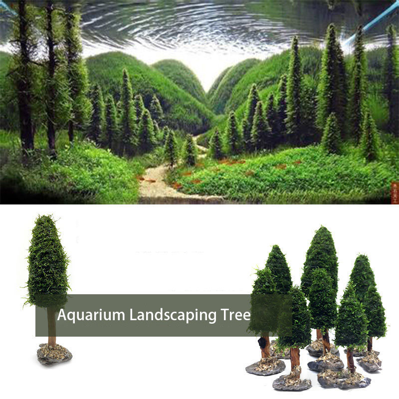 Akvaryum dekorasyon sucul bitk - Aquarium Planted Seeds incelemesi ve fiyatı