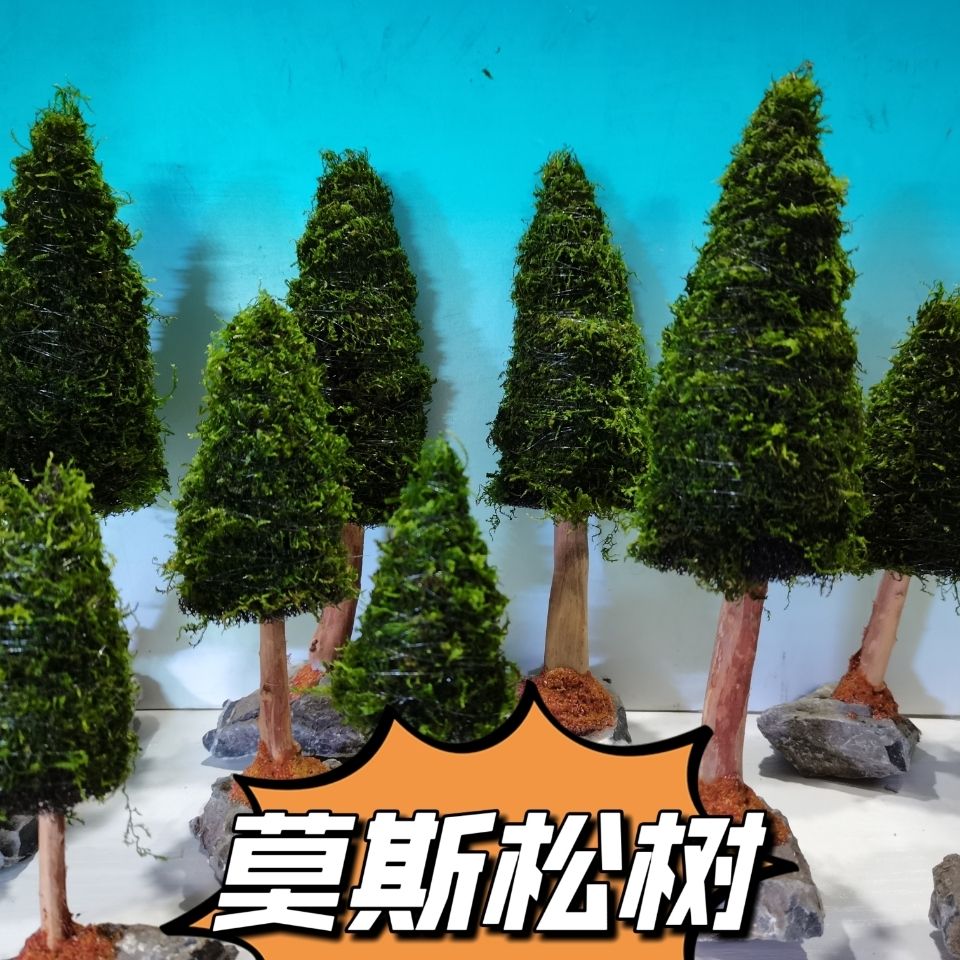 Akvaryum dekorasyon sucul bitk - Aquarium Planted Seeds incelemesi ve fiyatı