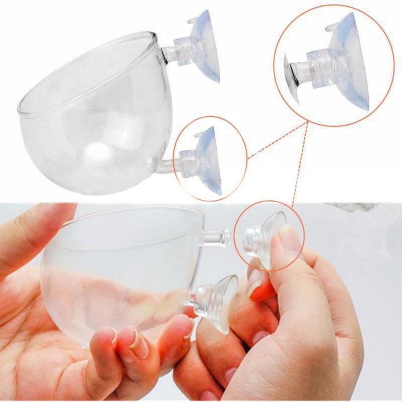 Akvaryum asılı sucul bitki toh - Aquarium Planted Seeds incelemesi ve fiyatı