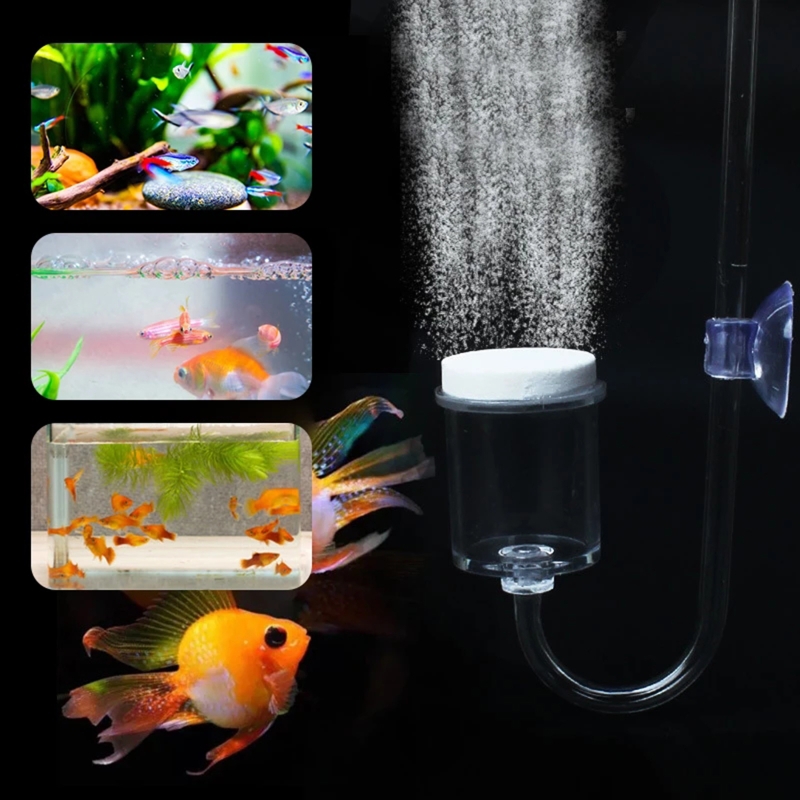 4 adet Set DIY CO2 difüzör içi - Aquarium Plant Order incelemesi ve fiyatı