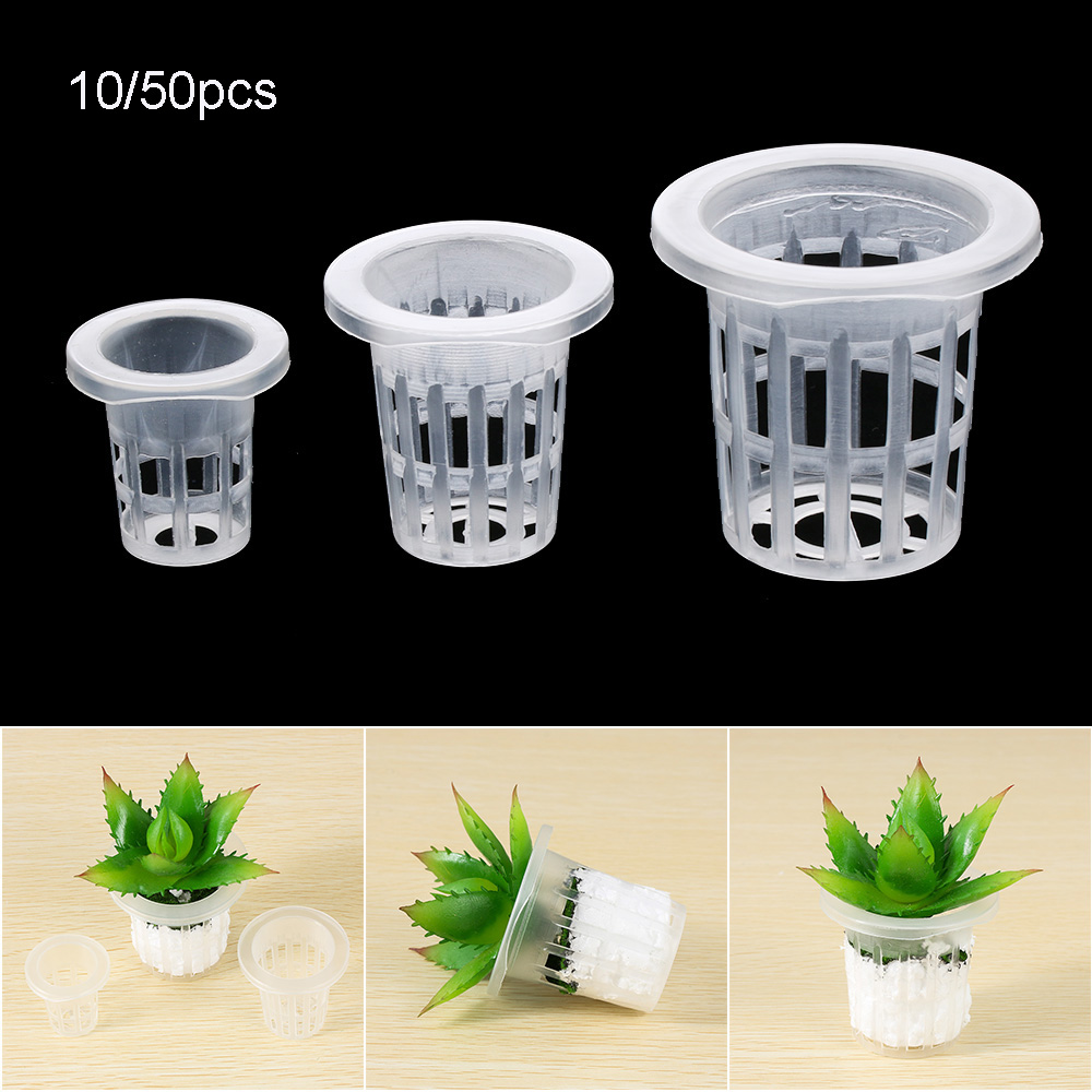 10/50 adet Dayanıklı Dikim Akv - Aquarium Planted Seeds incelemesi ve fiyatı