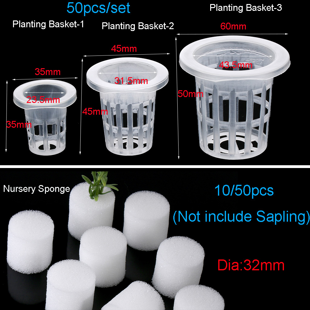 10/50 adet Dayanıklı Dikim Akv - Aquarium Planted Seeds incelemesi ve fiyatı