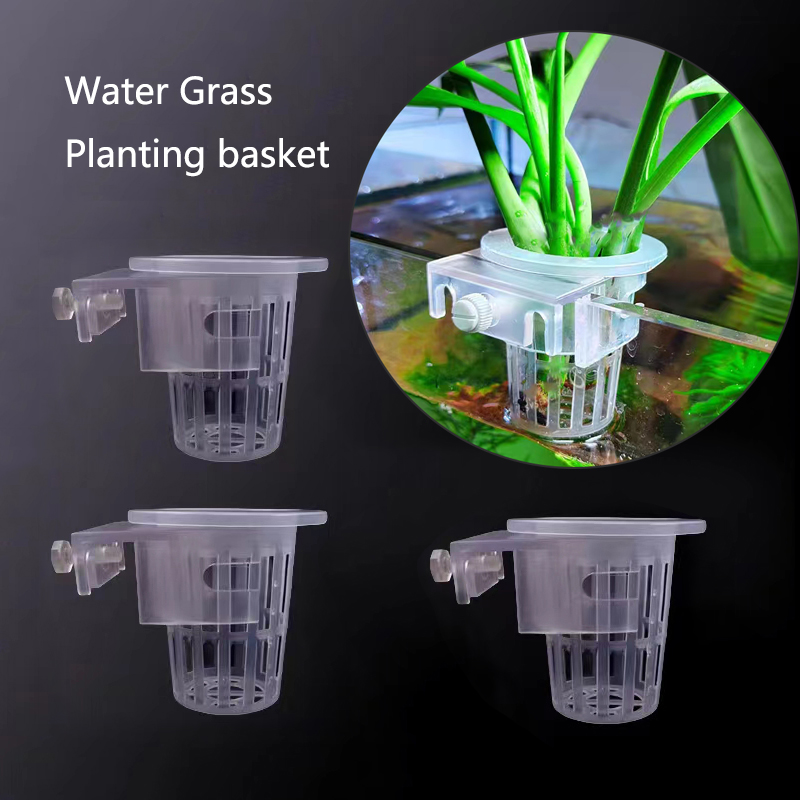Akvaryum dikim sepeti hidropon - Aquarium Planted Wall incelemesi ve fiyatı