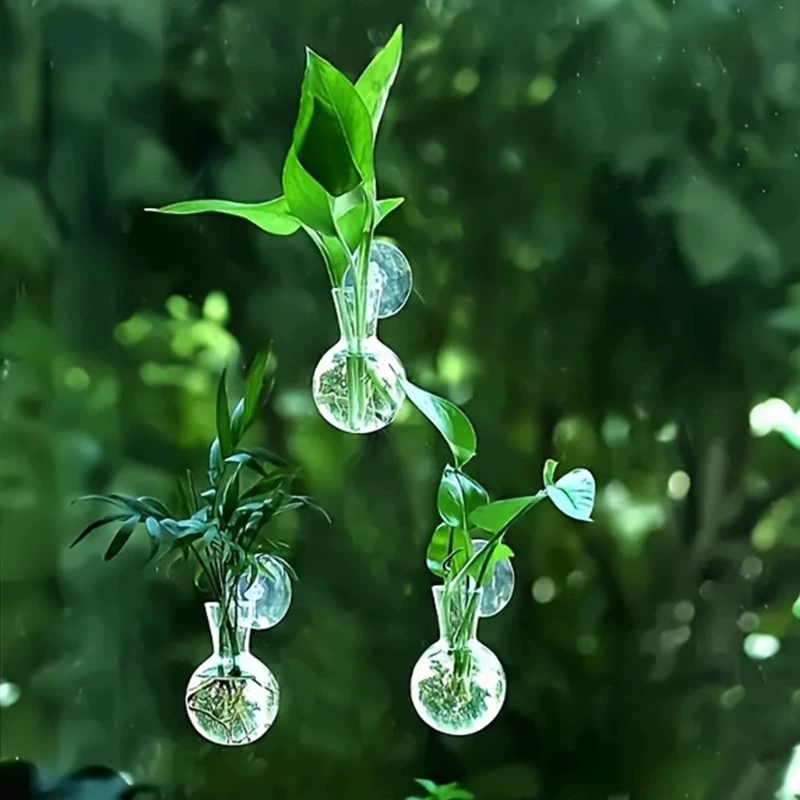 Yaratıcı Yarım Daire Şeklinde  - Aquarium Planted Wall incelemesi ve fiyatı