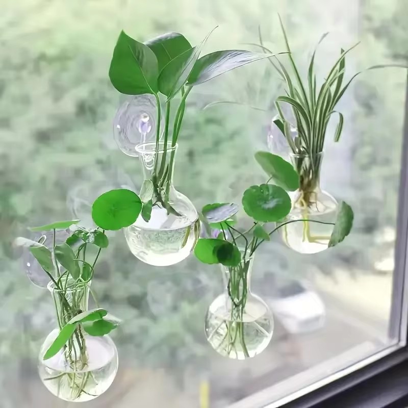 Yaratıcı Yarım Daire Şeklinde  - Aquarium Planted Wall incelemesi ve fiyatı
