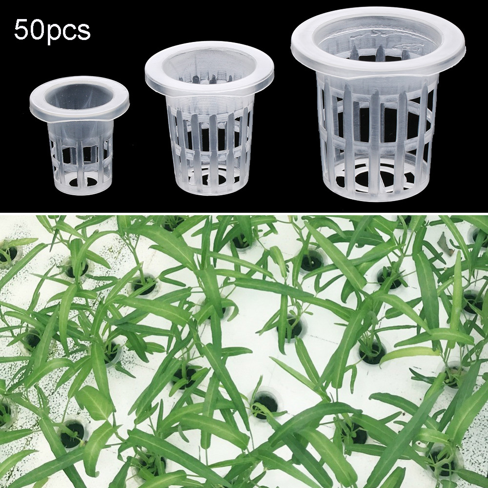 10/50 adet Bahçe Malzemeleri D - Aquarium Planted Seeds incelemesi ve fiyatı